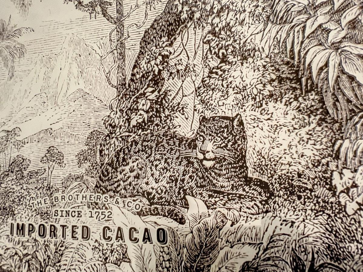 Roubia L'Oiseau Bleu Peacock Bed & Breakfast エクステリア 写真
